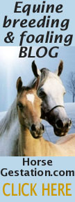 horse foaling blog